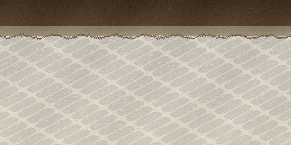 Leptosol soil profile — thin A horizon on limestone bedrock